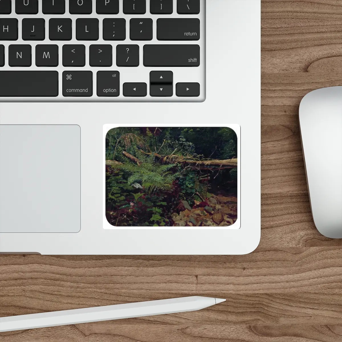 SKU:59175110765407764955 Sticker types:White Shape:Die-Cut Sizes:4" × 4"
