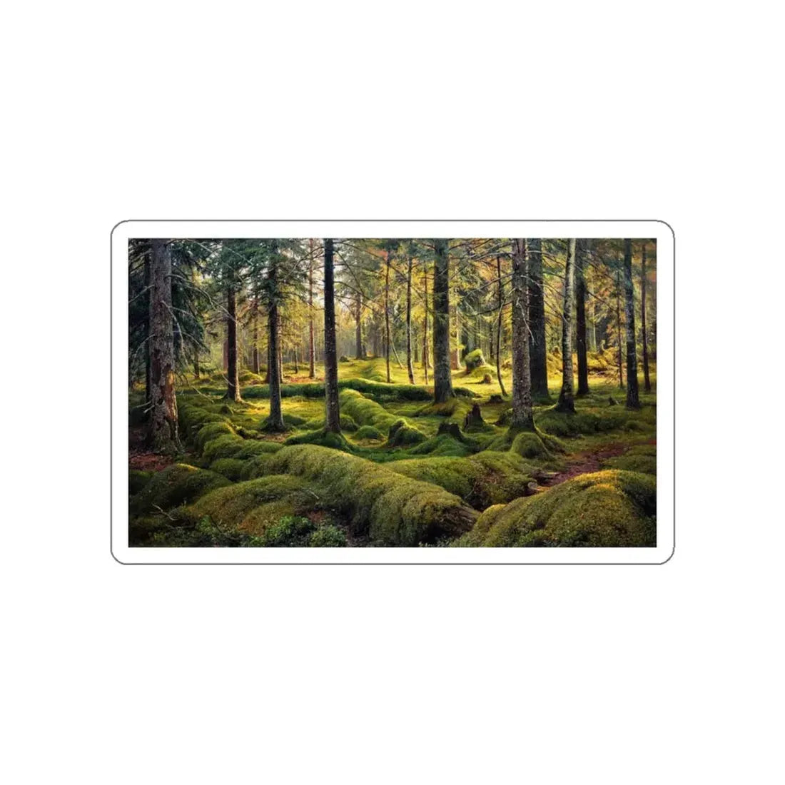 SHISKIN, Ivan Ivanovich - old fallen trees. Forest Cemetery 1893 (Artwork) STICKER Vinyl Die-Cut Decal White Die-Cut 4 Inch - The Sticker Space