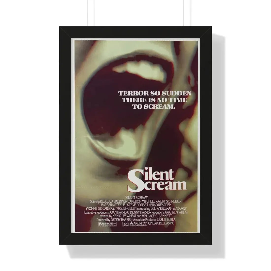 SILENT SCREAM 1980 - Framed Movie Poster 16″ x 24″ Black - The Sticker Space