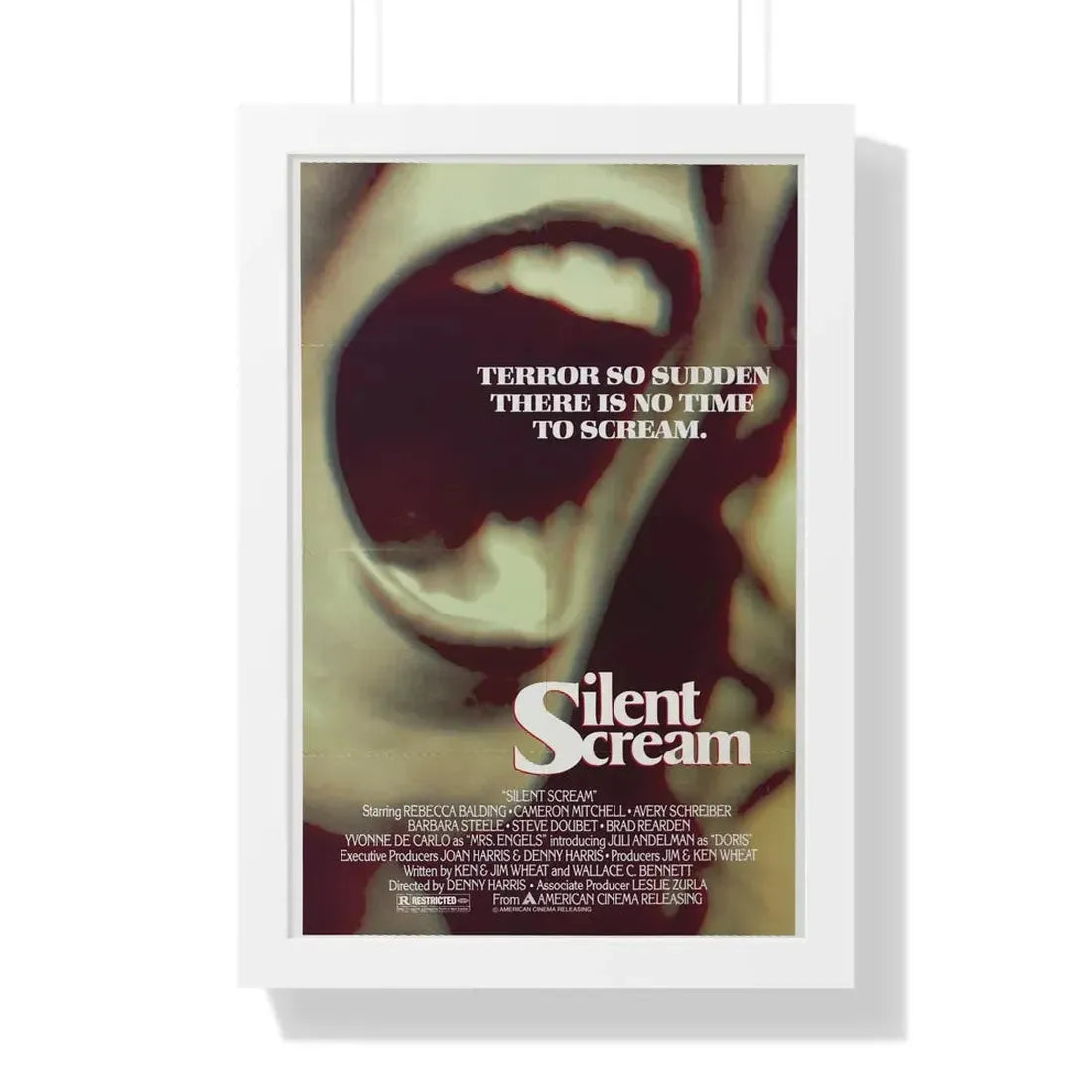 SILENT SCREAM 1980 - Framed Movie Poster 16″ x 24″ White - The Sticker Space