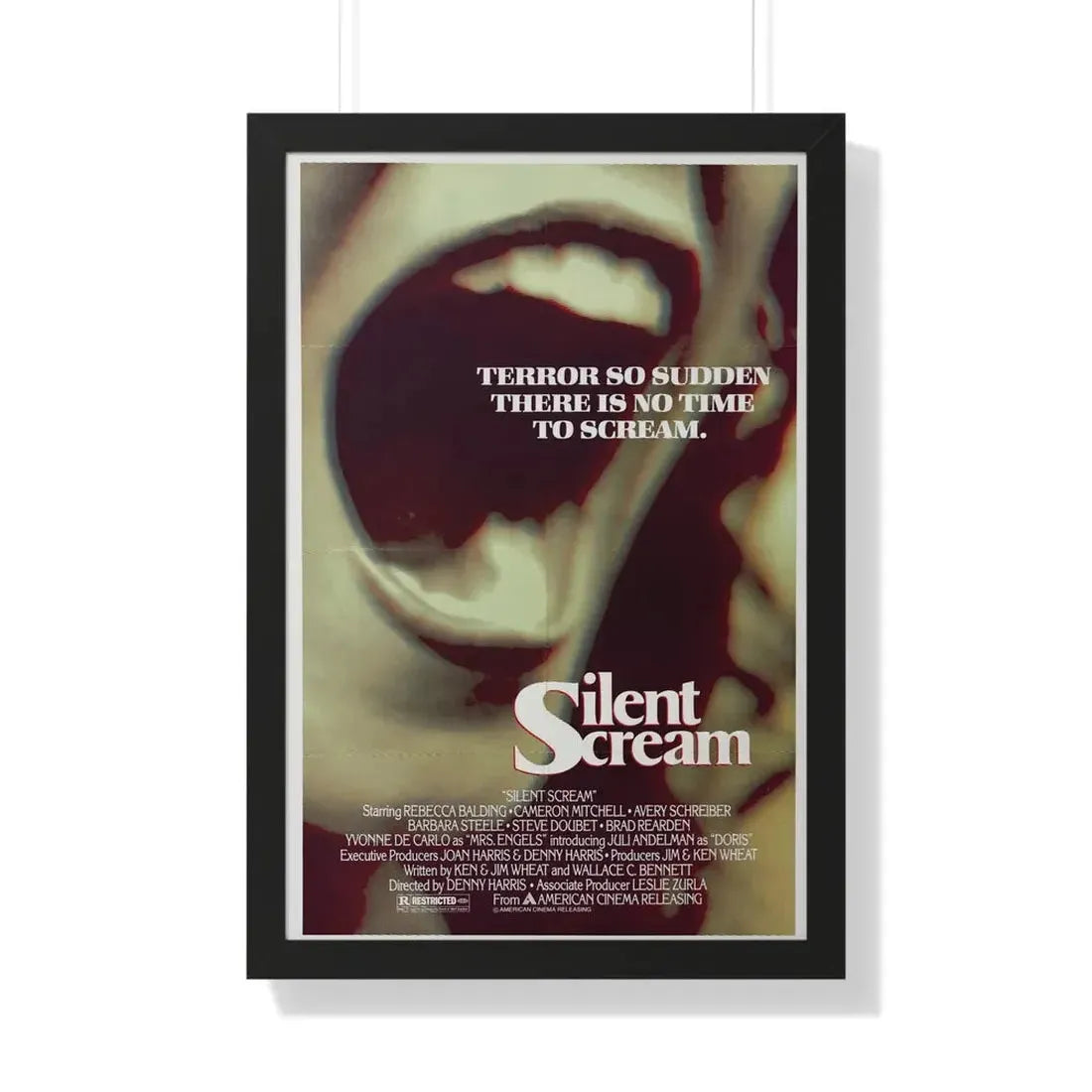 SILENT SCREAM 1980 - Framed Movie Poster 20" x 30" Black - The Sticker Space