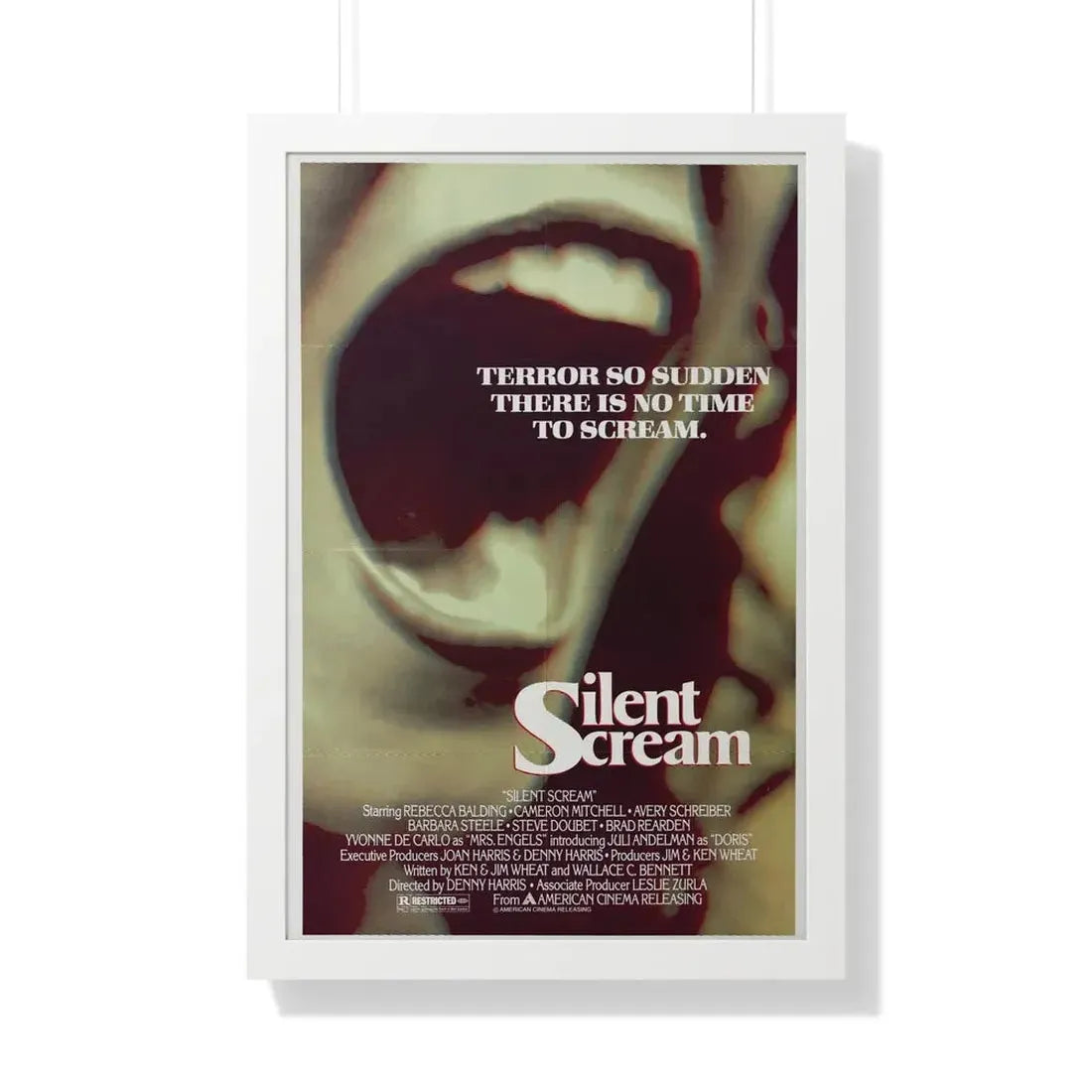SILENT SCREAM 1980 - Framed Movie Poster 20" x 30" White - The Sticker Space