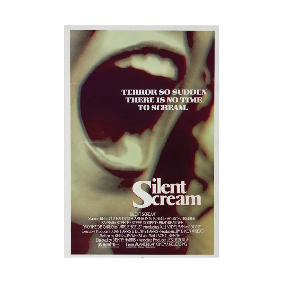 SILENT SCREAM 1980 - Paper Movie Poster - The Sticker Space