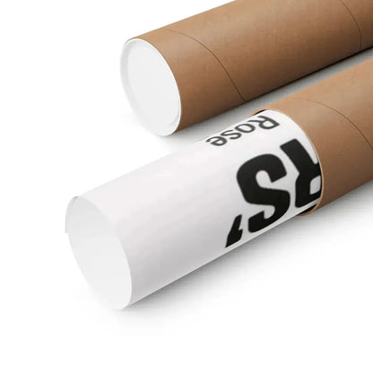 SISTERS 1972 - Paper Movie Poster - The Sticker Space