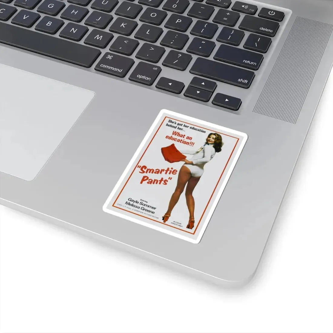 SMARTIE PANTS 1975 Movie Poster - STICKER Vinyl Kiss-Cut Decal - The Sticker Space