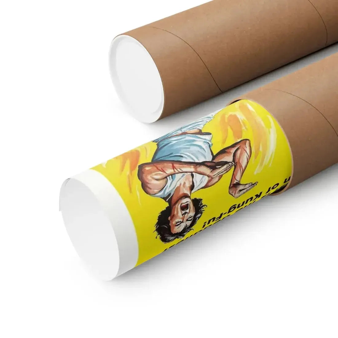 SNAKE FIST FIGHTER 1973 - Paper Movie Poster - The Sticker Space