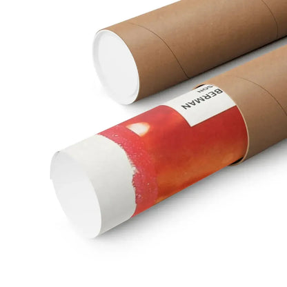 SON OF BLOB 1972 - Paper Movie Poster - The Sticker Space