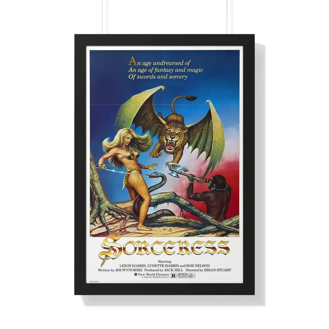 SORCERESS 1982 - Framed Movie Poster 20" x 30" Black - The Sticker Space