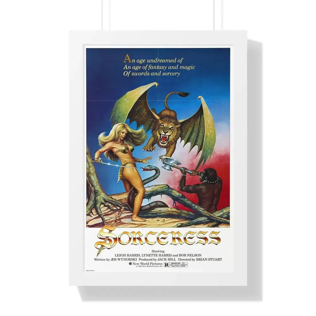 SORCERESS 1982 - Framed Movie Poster - The Sticker Space