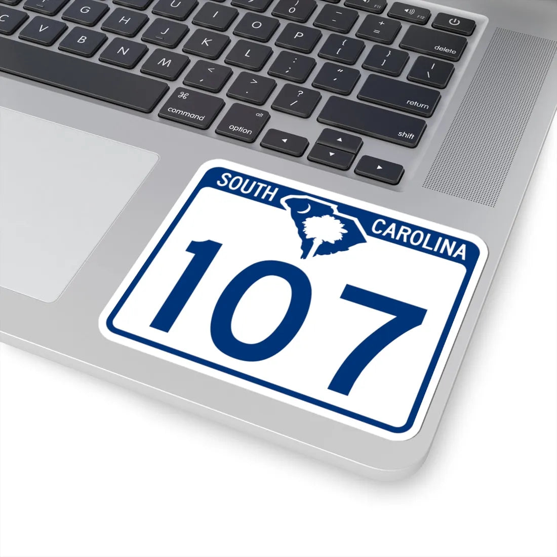South Carolina 107 (South Carolina) (Road Sign) STICKER Vinyl Kiss-Cut Decal - The Sticker Space