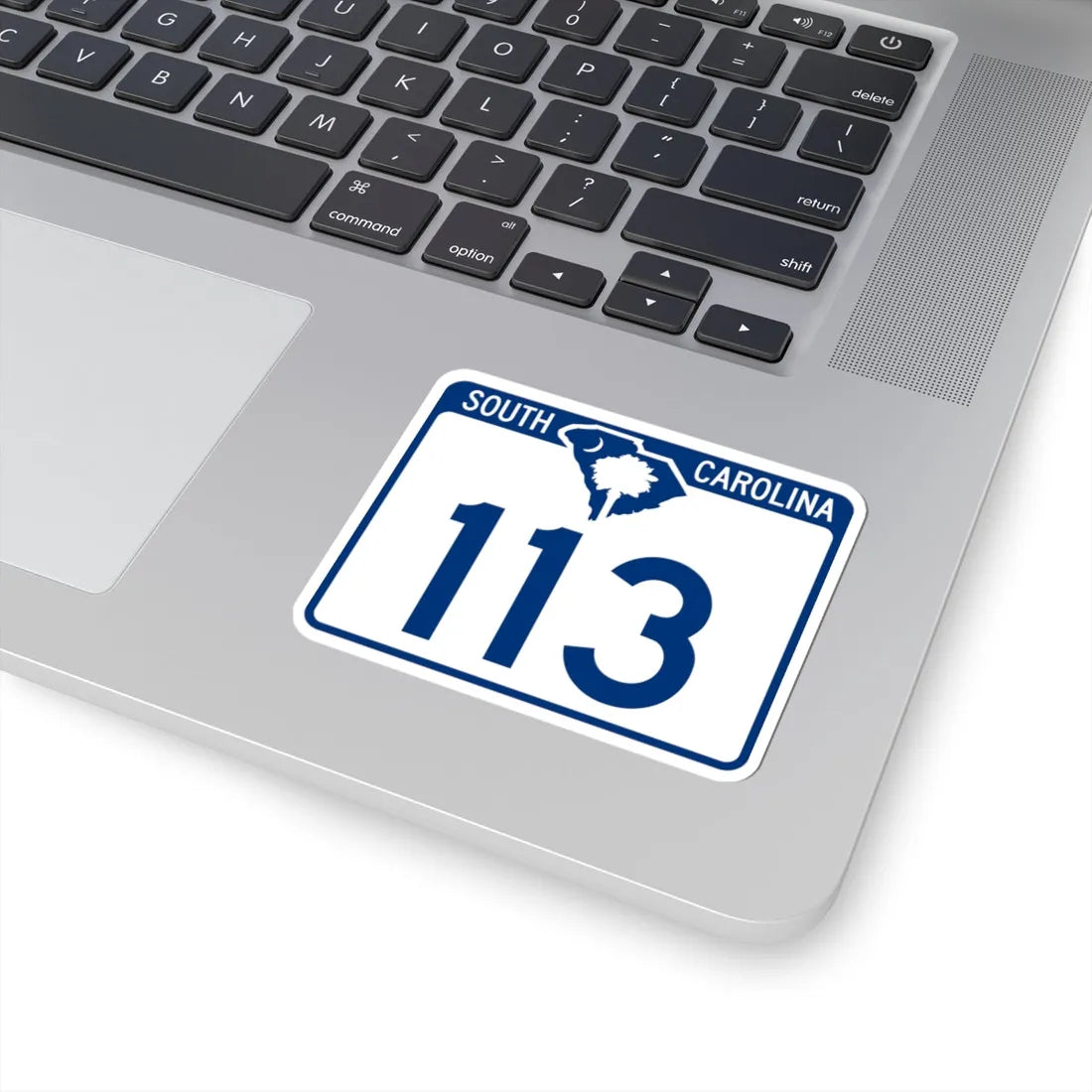 South Carolina 113 (South Carolina) (Road Sign) STICKER Vinyl Kiss-Cut Decal - The Sticker Space