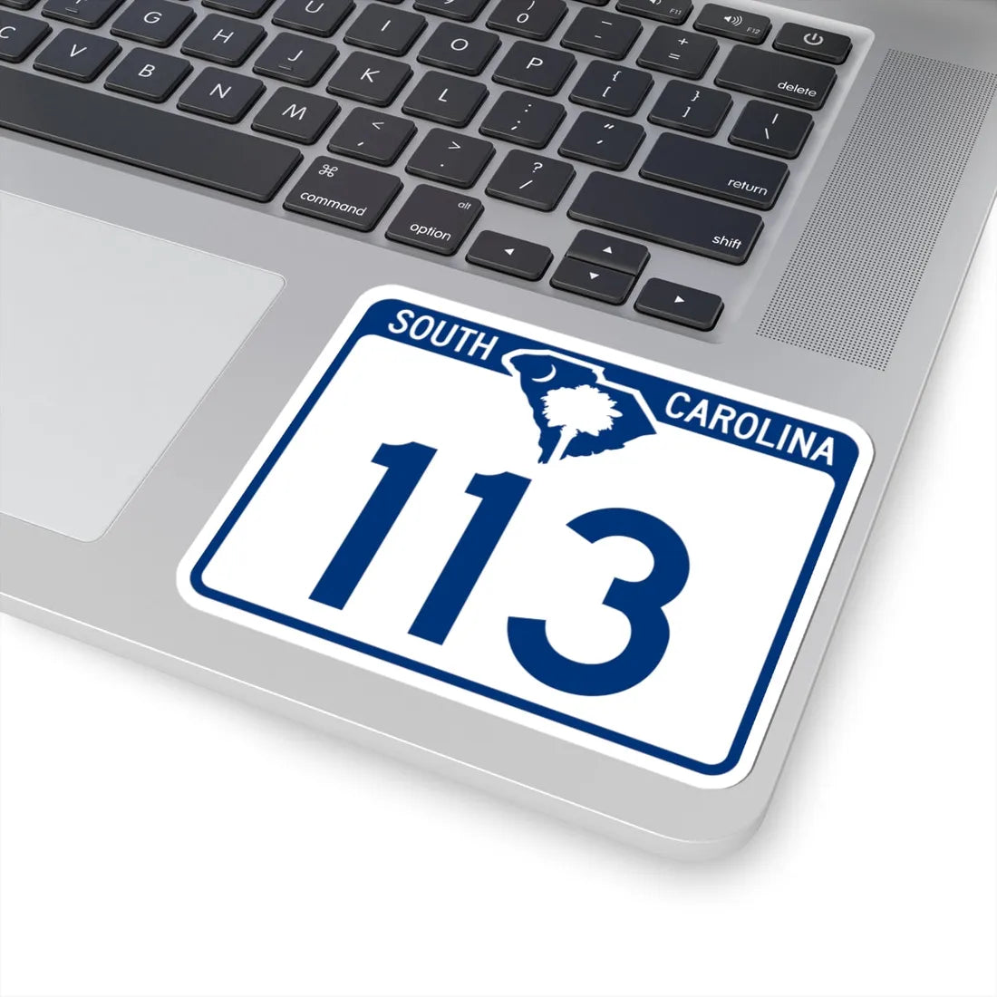 South Carolina 113 (South Carolina) (Road Sign) STICKER Vinyl Kiss-Cut Decal - The Sticker Space