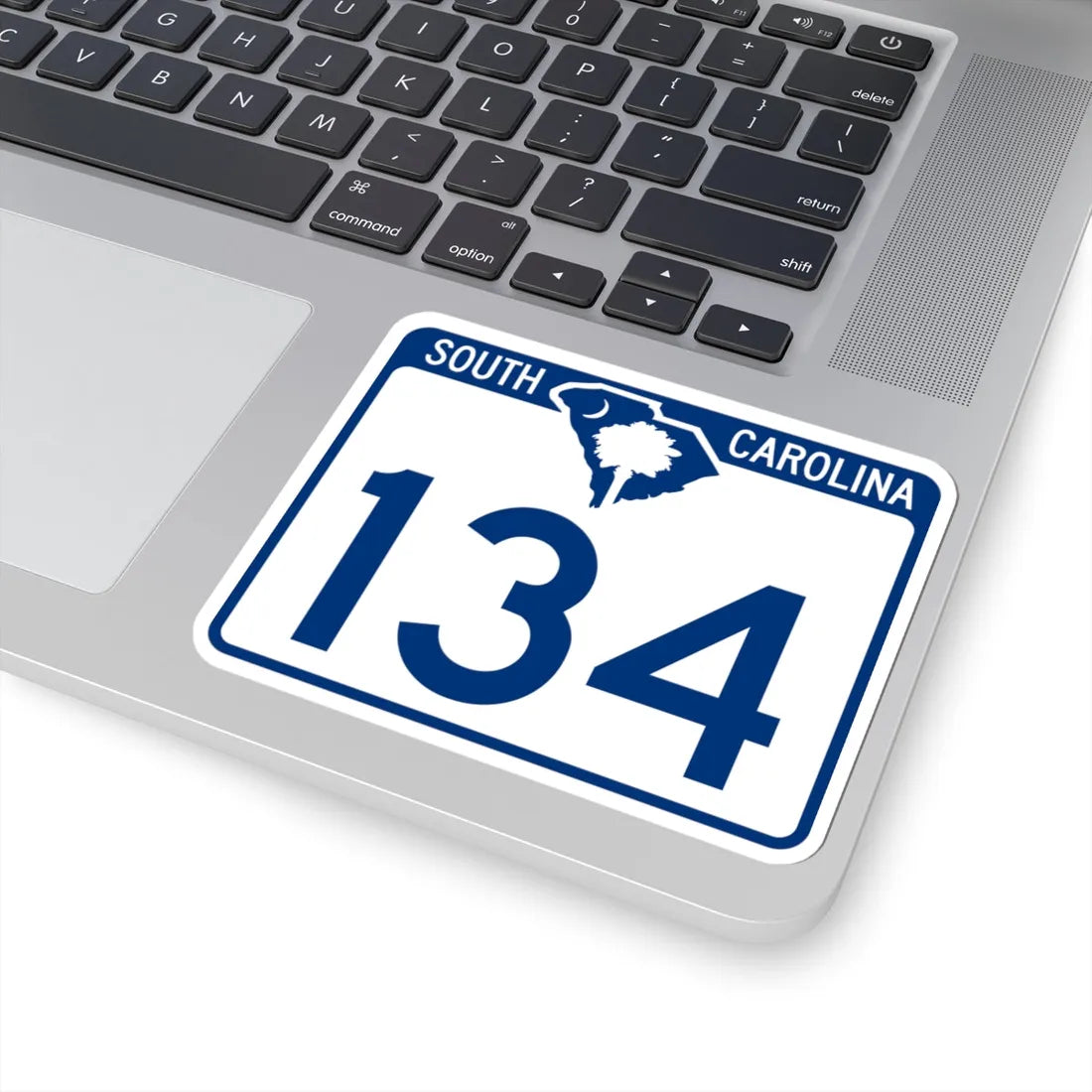 South Carolina 134 (South Carolina) (Road Sign) STICKER Vinyl Kiss-Cut Decal - The Sticker Space