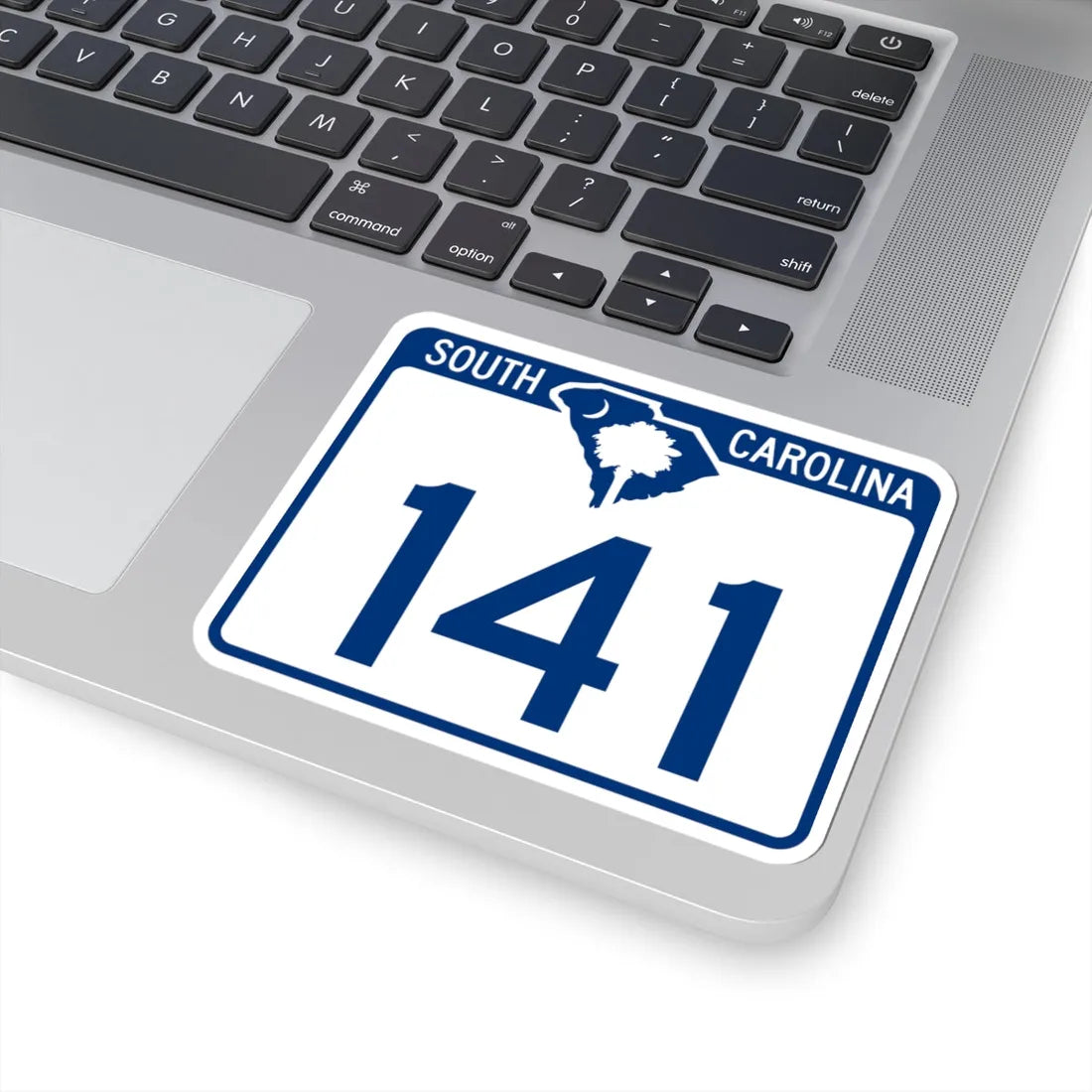 South Carolina 141 (South Carolina) (Road Sign) STICKER Vinyl Kiss-Cut Decal - The Sticker Space