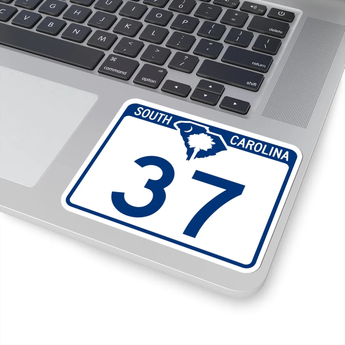 South Carolina 37 (South Carolina) (Road Sign) STICKER Vinyl Kiss-Cut Decal - The Sticker Space