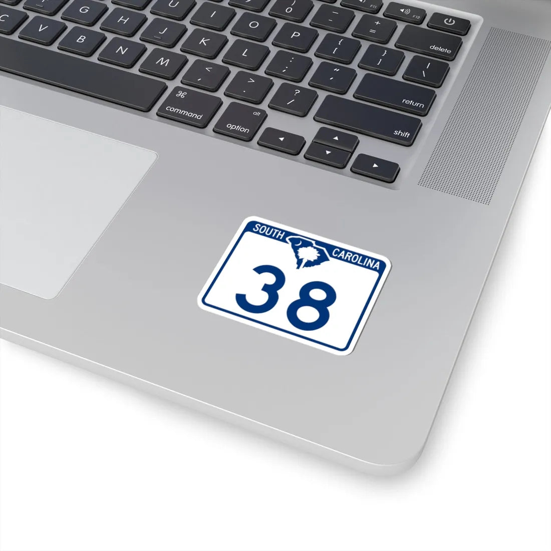 South Carolina 38 (South Carolina) (Road Sign) STICKER Vinyl Kiss-Cut Decal - The Sticker Space