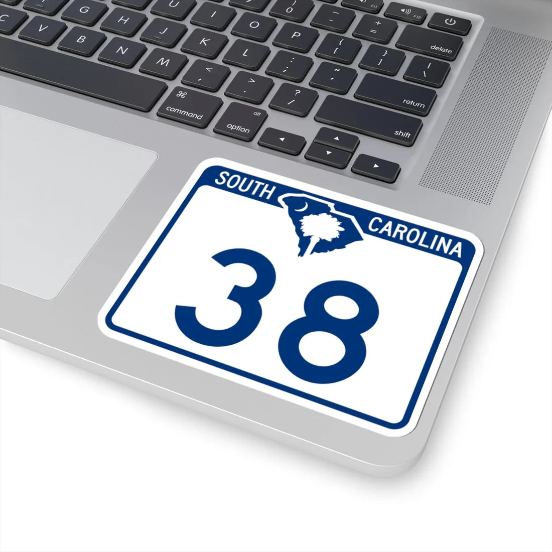 South Carolina 38 (South Carolina) (Road Sign) STICKER Vinyl Kiss-Cut Decal - The Sticker Space