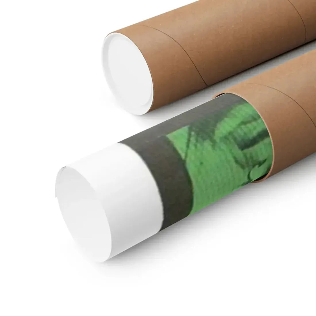 SPACE PROBE TAURUS 1965 - Paper Movie Poster - The Sticker Space