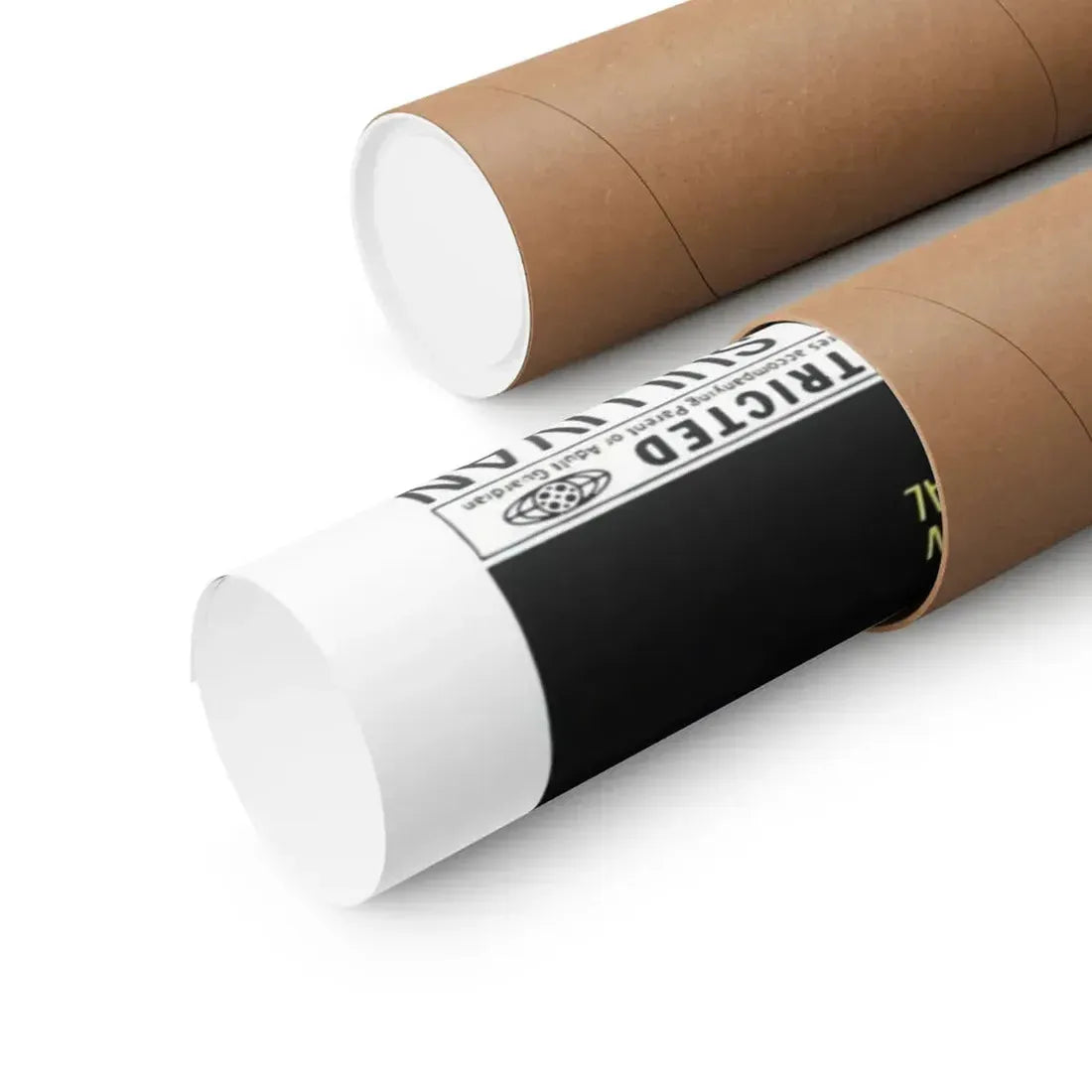 SQUIRM 1976 - Paper Movie Poster - The Sticker Space