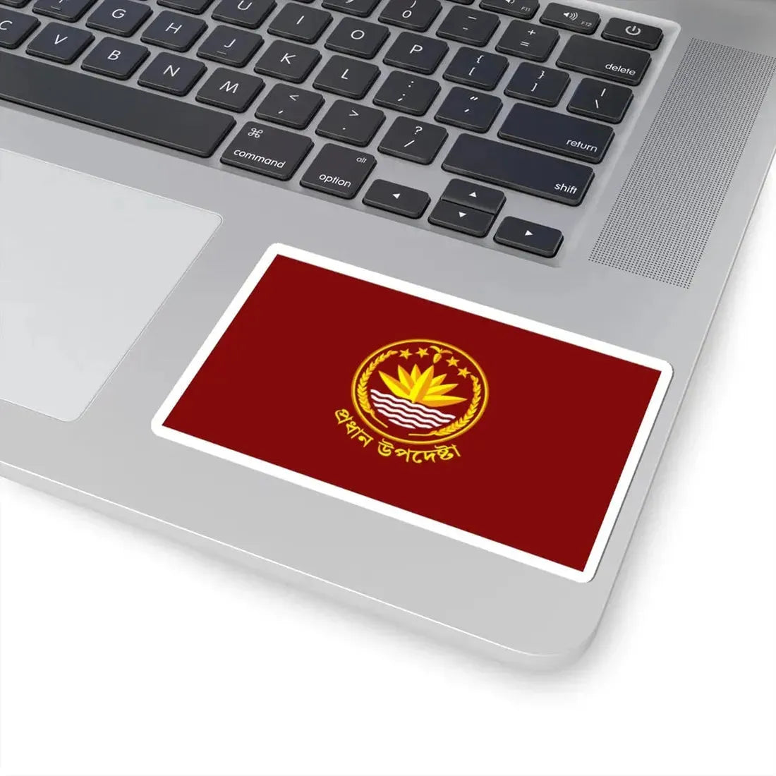 Standard of the Chief Advisor of Bangladesh (Bangladesh) STICKER Vinyl Kiss-Cut Decal - The Sticker Space