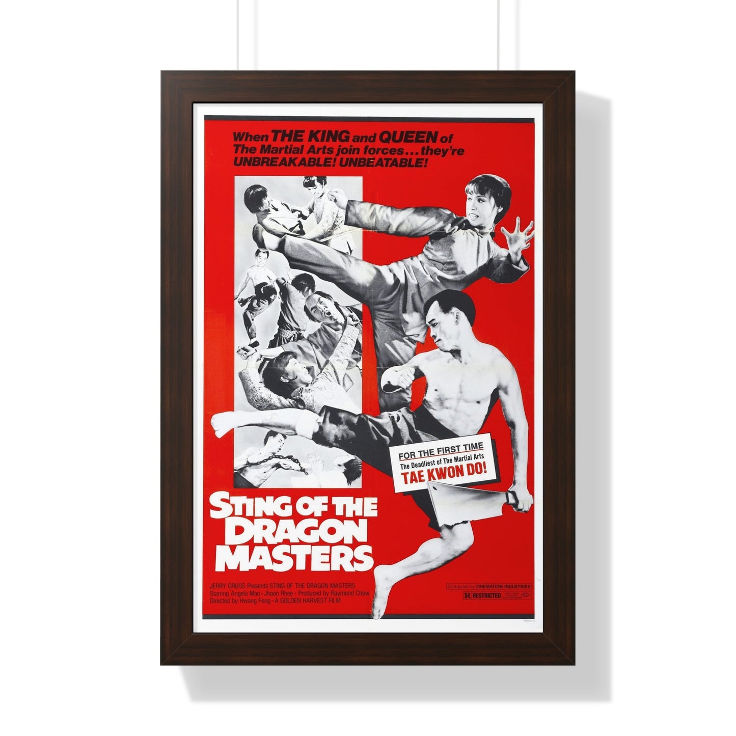 STING OF THE DRAGON MASTERS 1973 - Framed Movie Poster-16″ x 24″-The Sticker Space