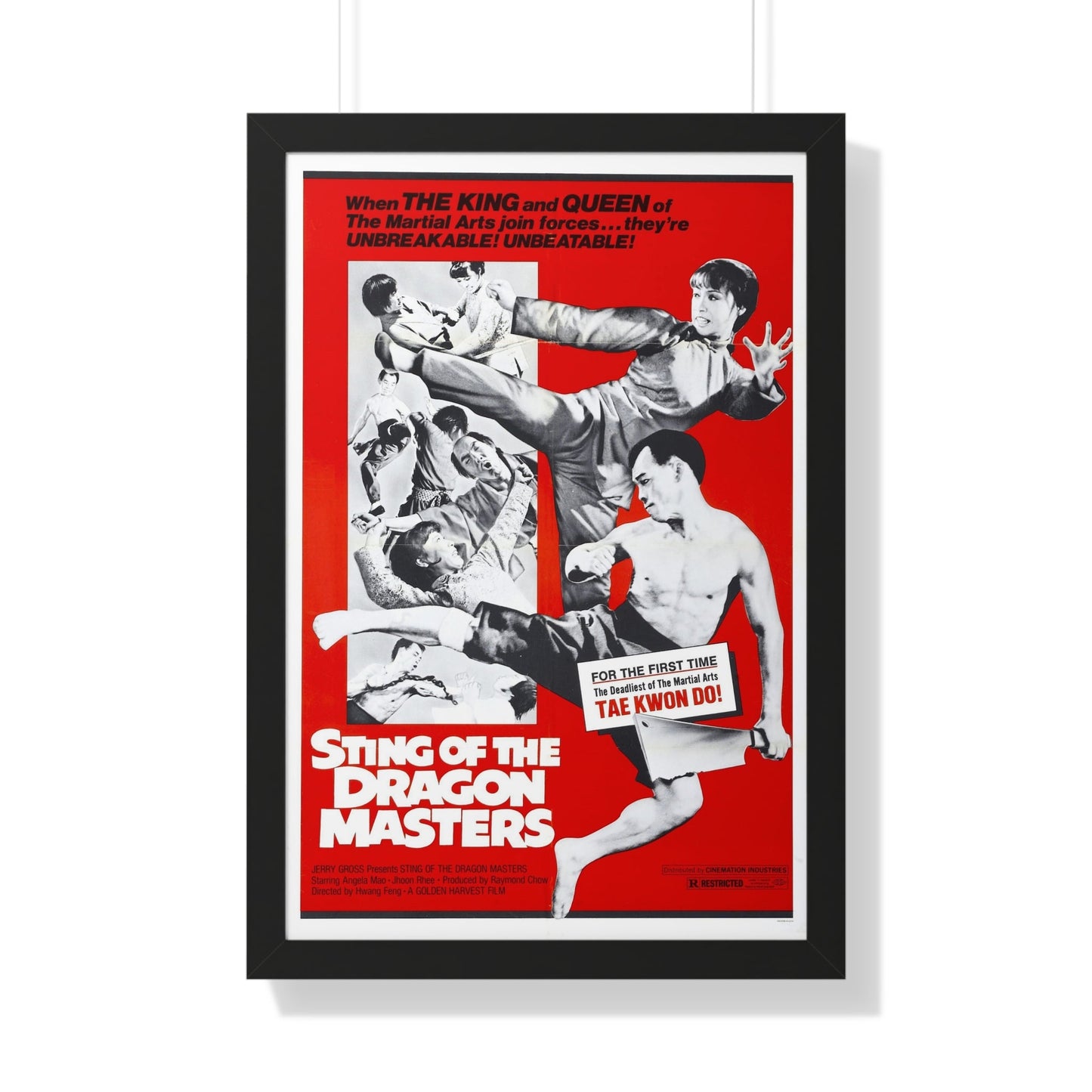 STING OF THE DRAGON MASTERS 1973 - Framed Movie Poster-20" x 30"-The Sticker Space