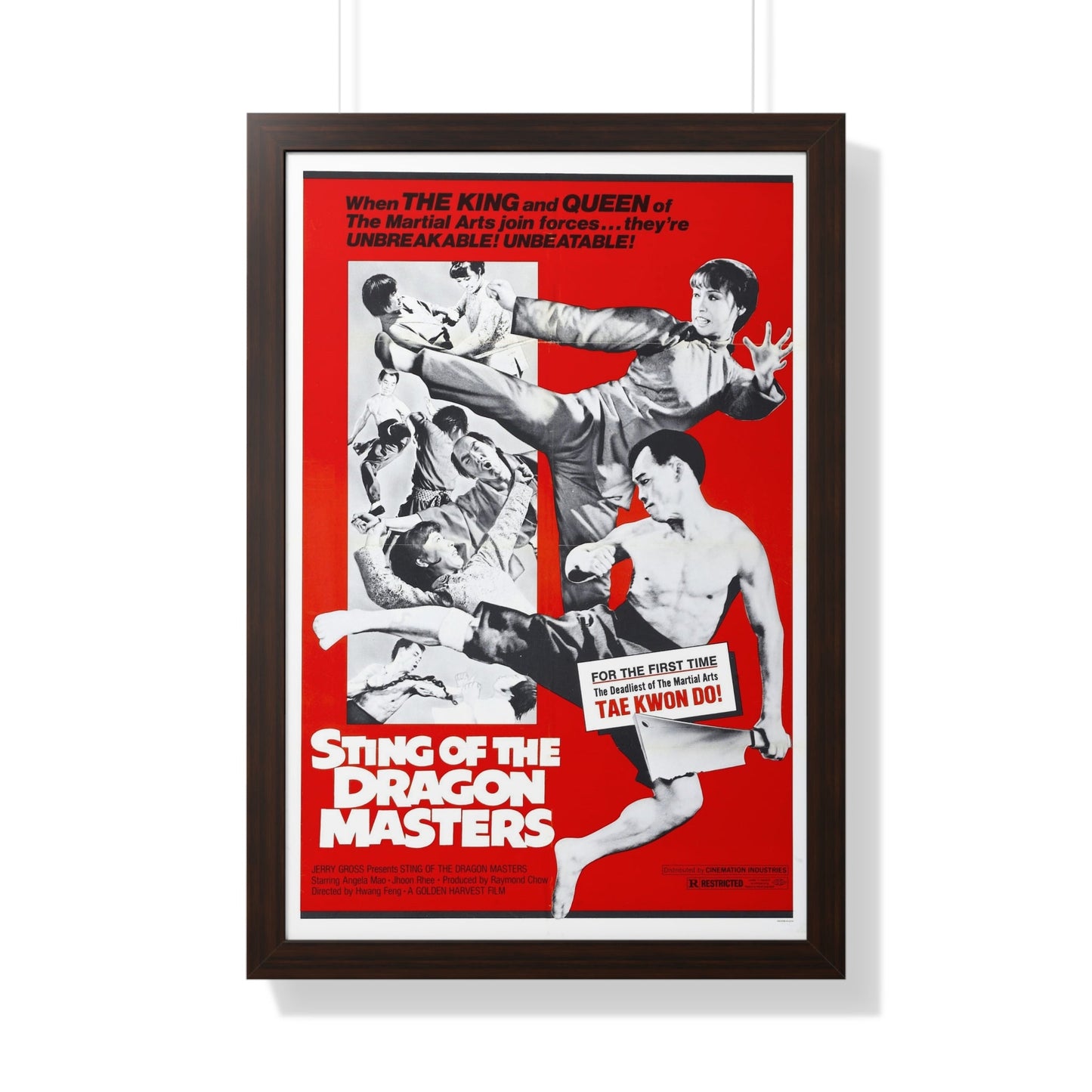 STING OF THE DRAGON MASTERS 1973 - Framed Movie Poster-20" x 30"-The Sticker Space