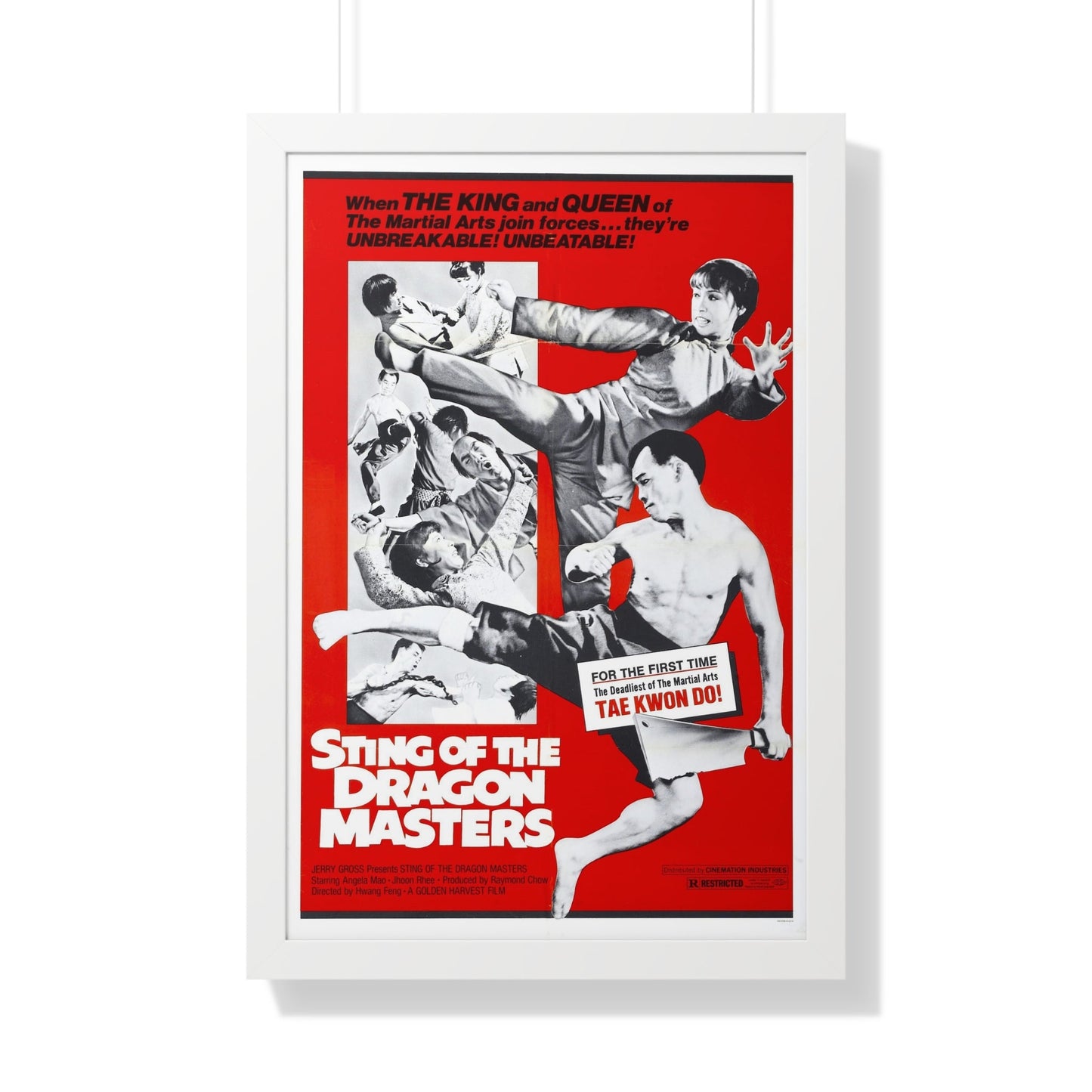 STING OF THE DRAGON MASTERS 1973 - Framed Movie Poster-20" x 30"-The Sticker Space