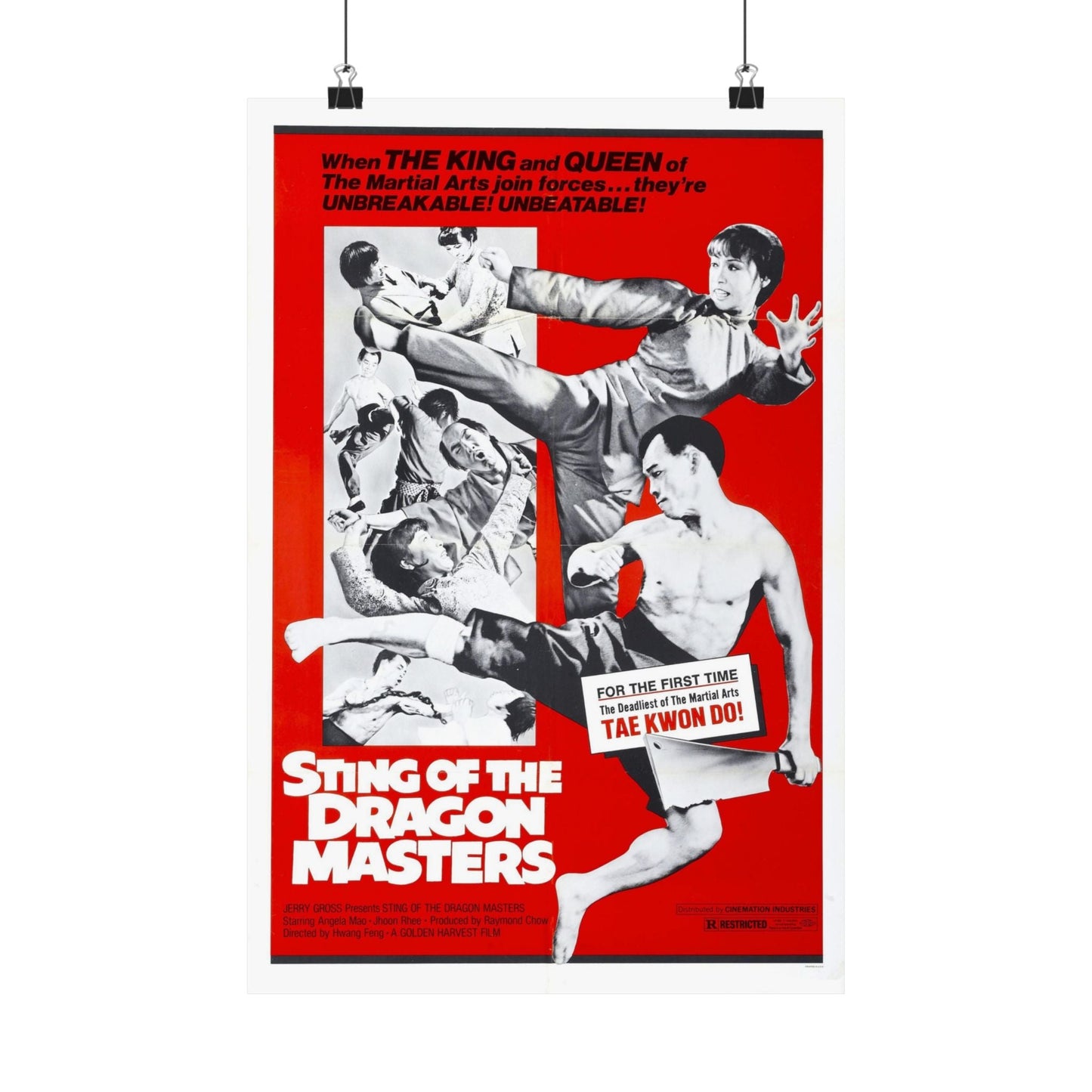 STING OF THE DRAGON MASTERS 1973 - Paper Movie Poster-12″ x 18″-The Sticker Space