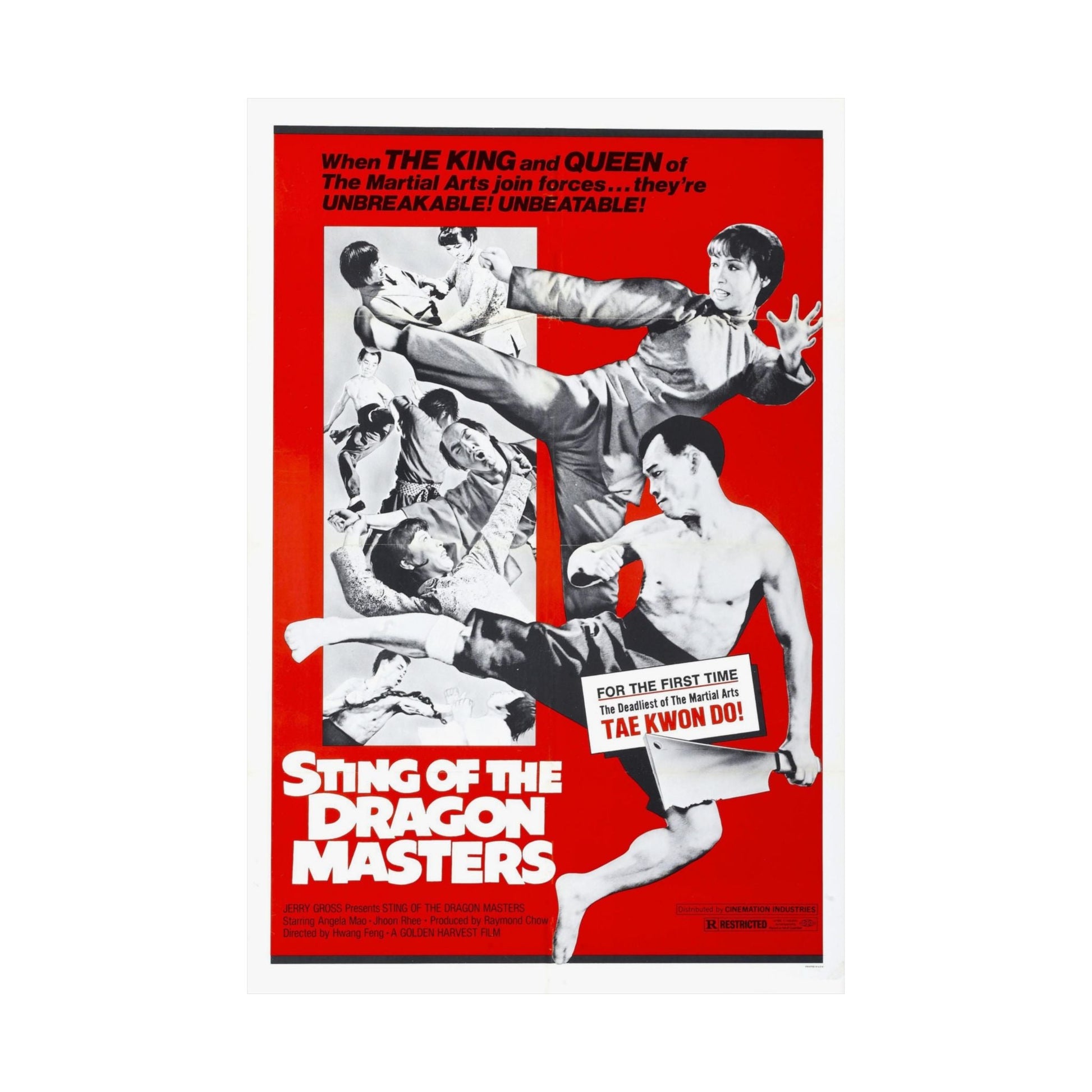 STING OF THE DRAGON MASTERS 1973 - Paper Movie Poster-The Sticker Space