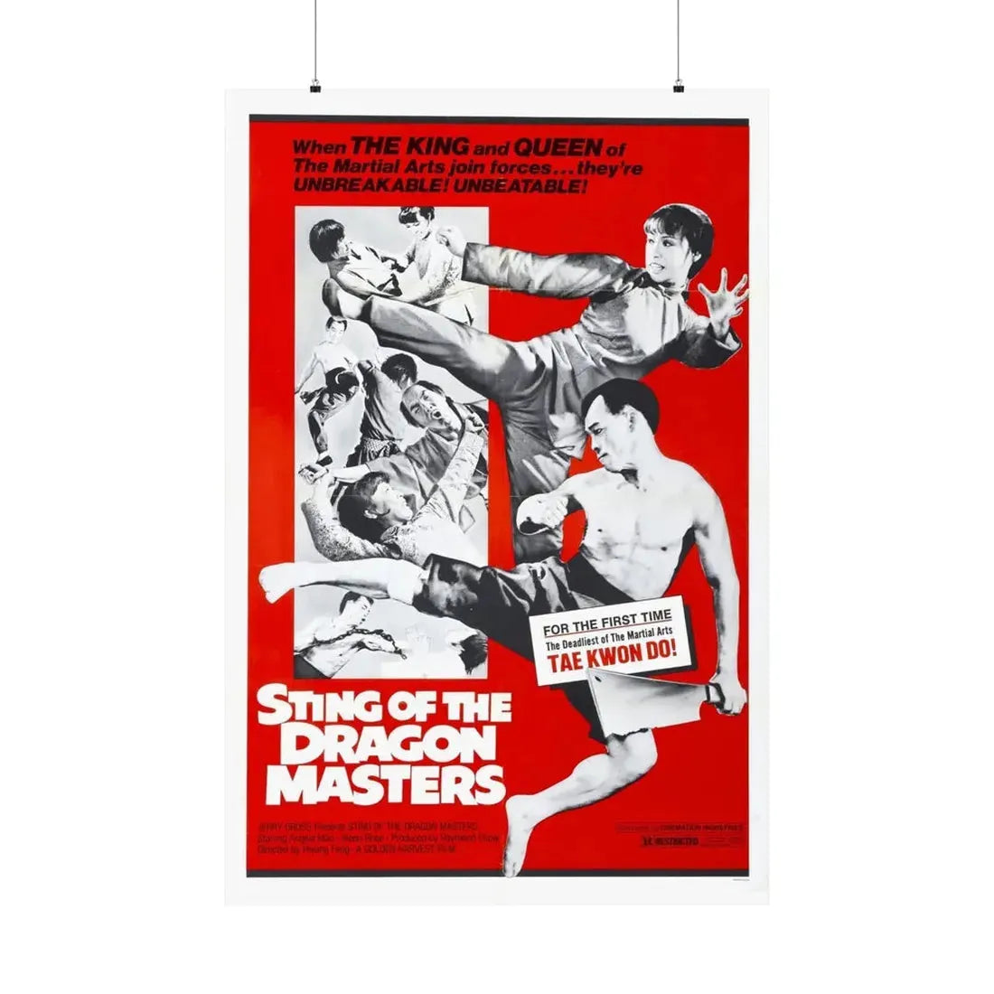 STING OF THE DRAGON MASTERS 1973 - Paper Movie Poster 36" x 54" Matte - The Sticker Space