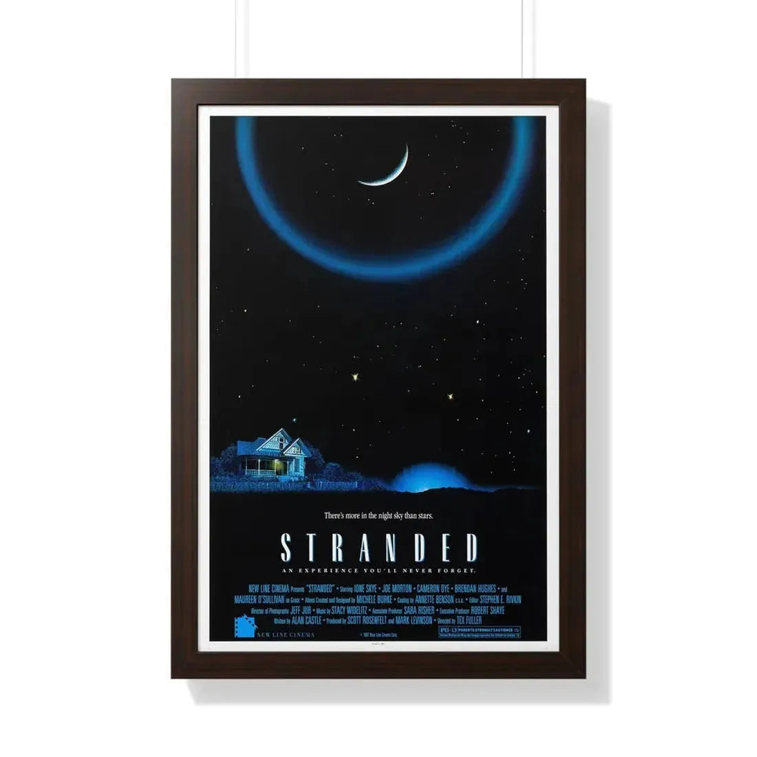 STRANDED 1987 - Framed Movie Poster 20" x 30" Walnut - The Sticker Space