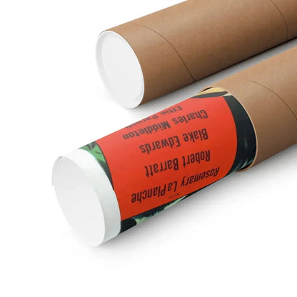 STRANGLER OF THE SWAMP 1946 - Paper Movie Poster - The Sticker Space