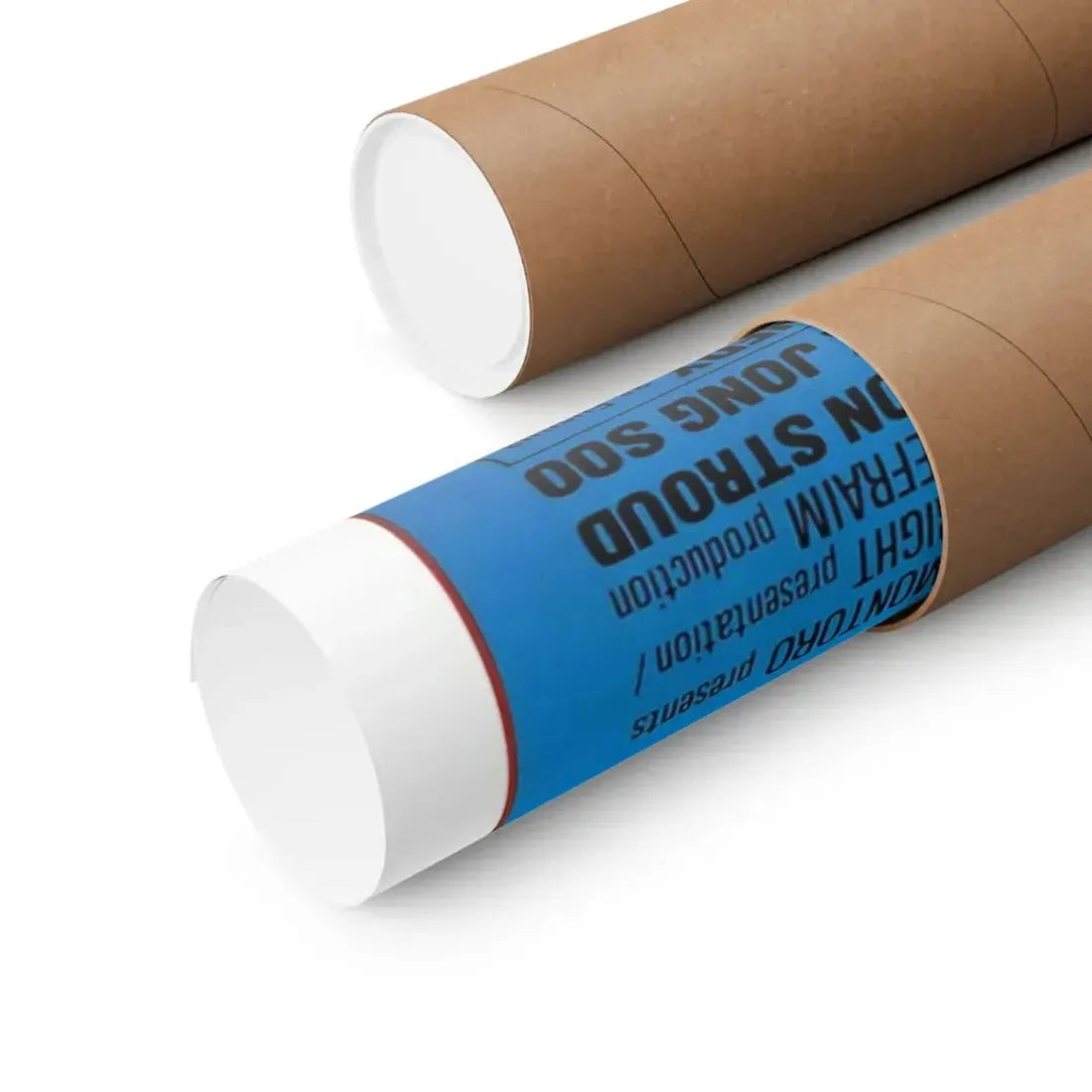 STRIKING BACK (SEARCH AND DESTROY) 1979 - Paper Movie Poster - The Sticker Space