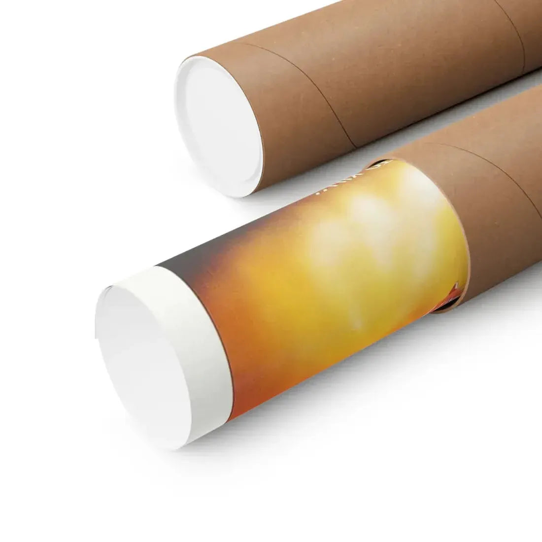 STRIPPED TO KILL 1987 - Paper Movie Poster - The Sticker Space