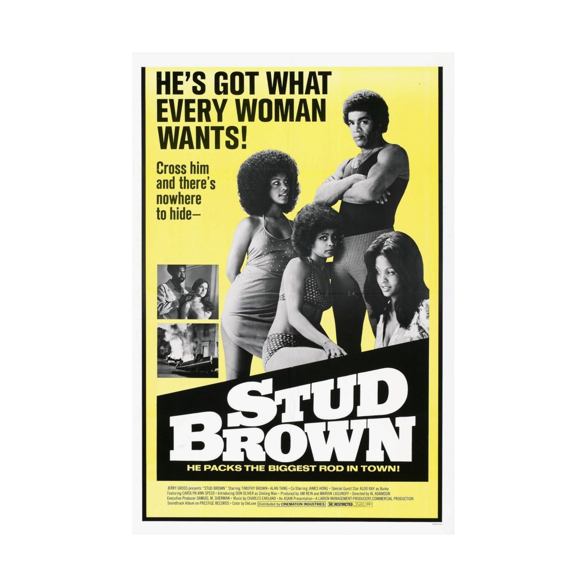 STUD BROWN (DYNAMITE BROTHERS) 1974 - Paper Movie Poster-The Sticker Space