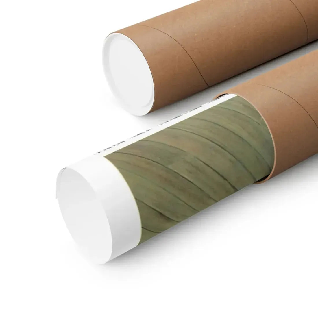 STUDENT BODIES 1981 - Paper Movie Poster - The Sticker Space