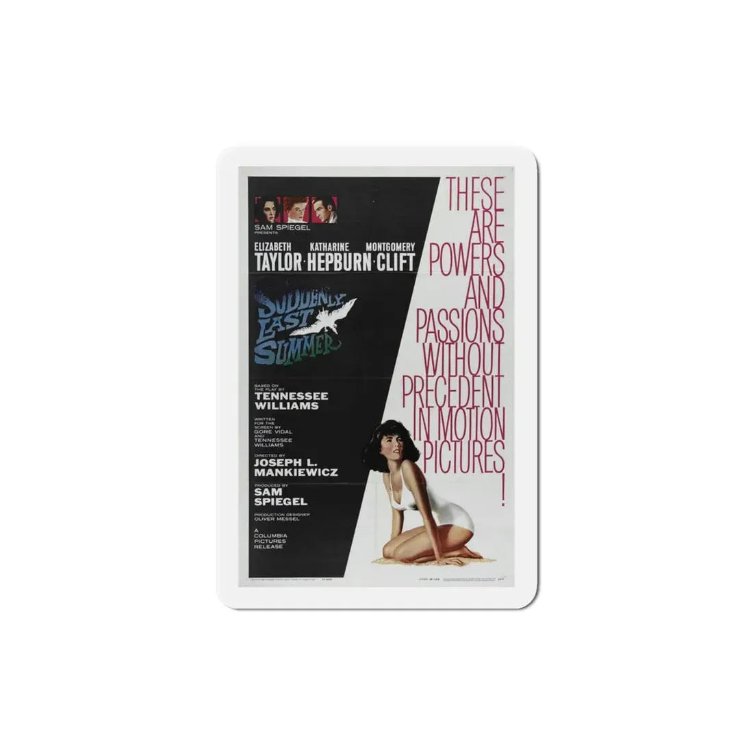 Suddenly Last Summer 1959 Movie Poster Refrigerator Magnet 4 Inch - The Sticker Space