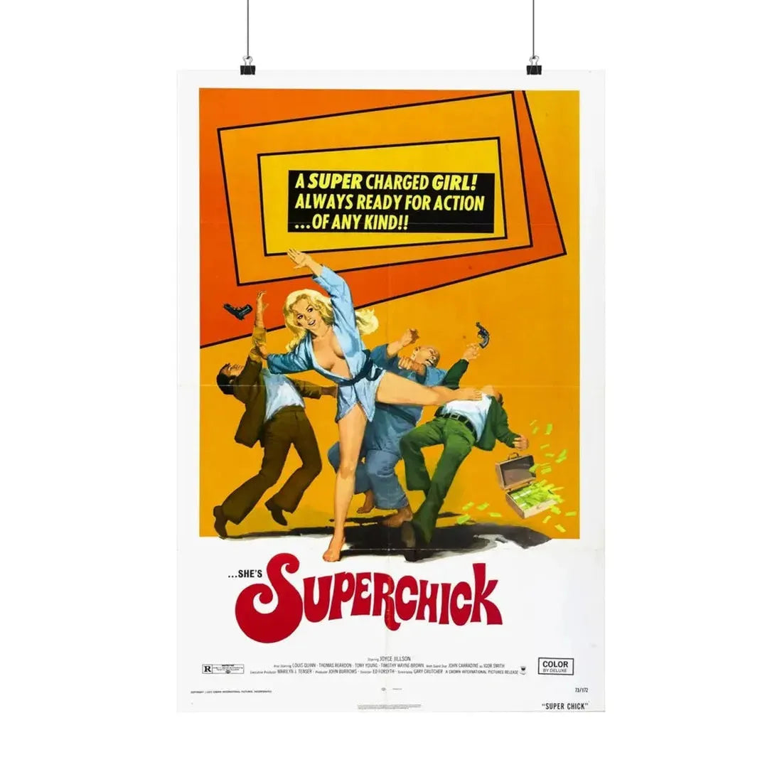 SUPERCHICK 1973 - Paper Movie Poster 20″ x 30″ Matte - The Sticker Space