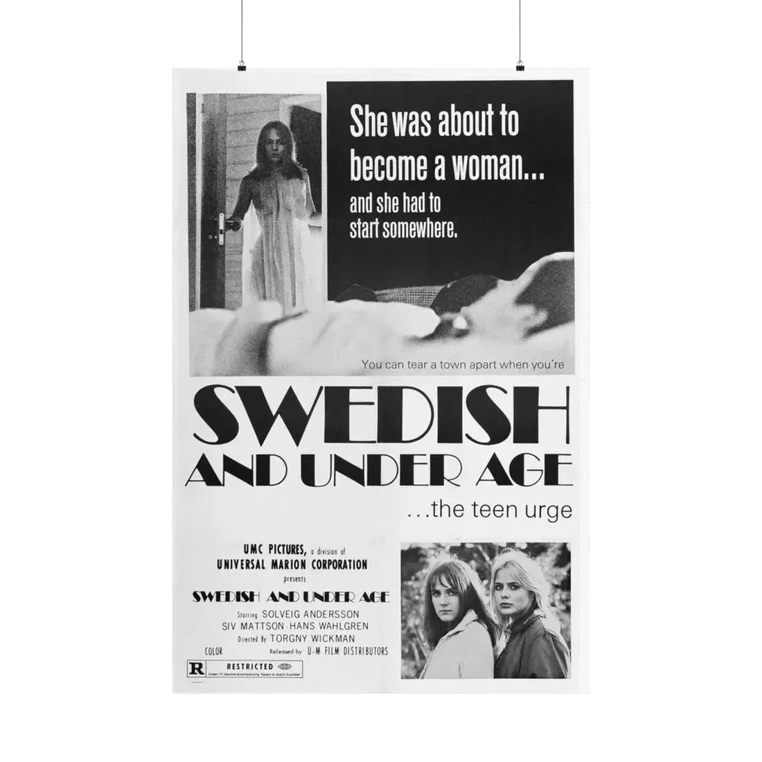 SWEDISH AND UNDER AGE 1969 - Paper Movie Poster 36" x 54" Matte - The Sticker Space
