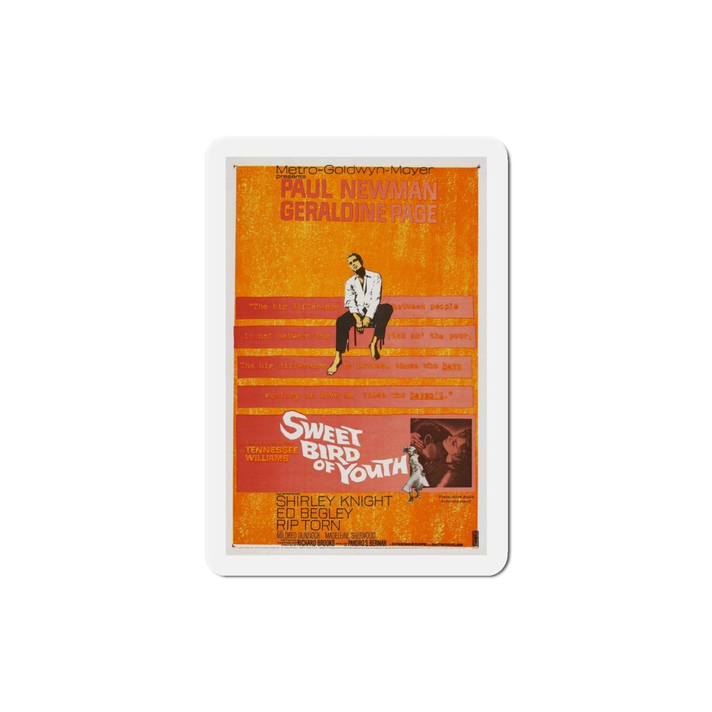 Sweet Bird of Youth 1962 Movie Poster Die-Cut Magnet-3 Inch-The Sticker Space