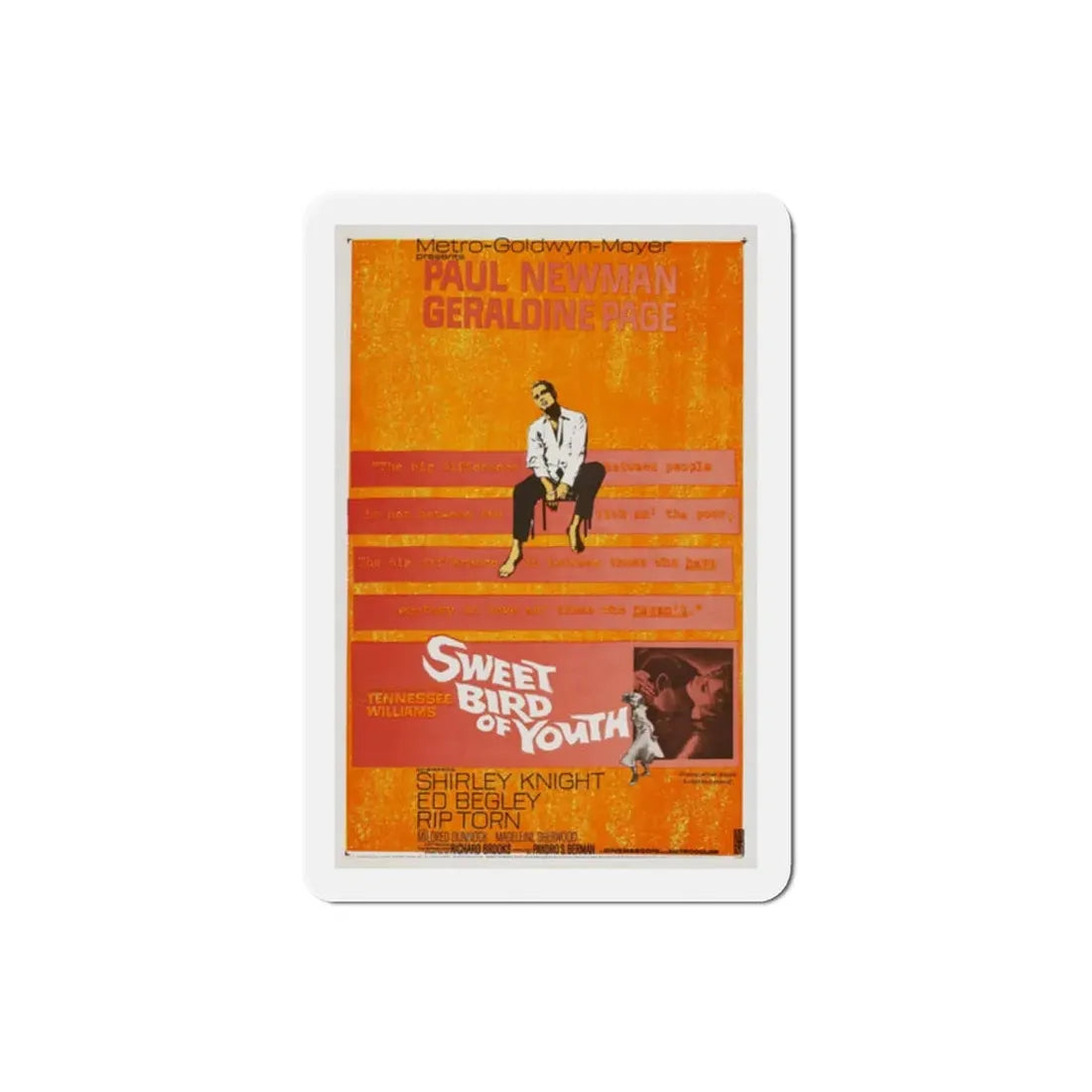 Sweet Bird of Youth 1962 Movie Poster Refrigerator Magnet 2 Inch - The Sticker Space