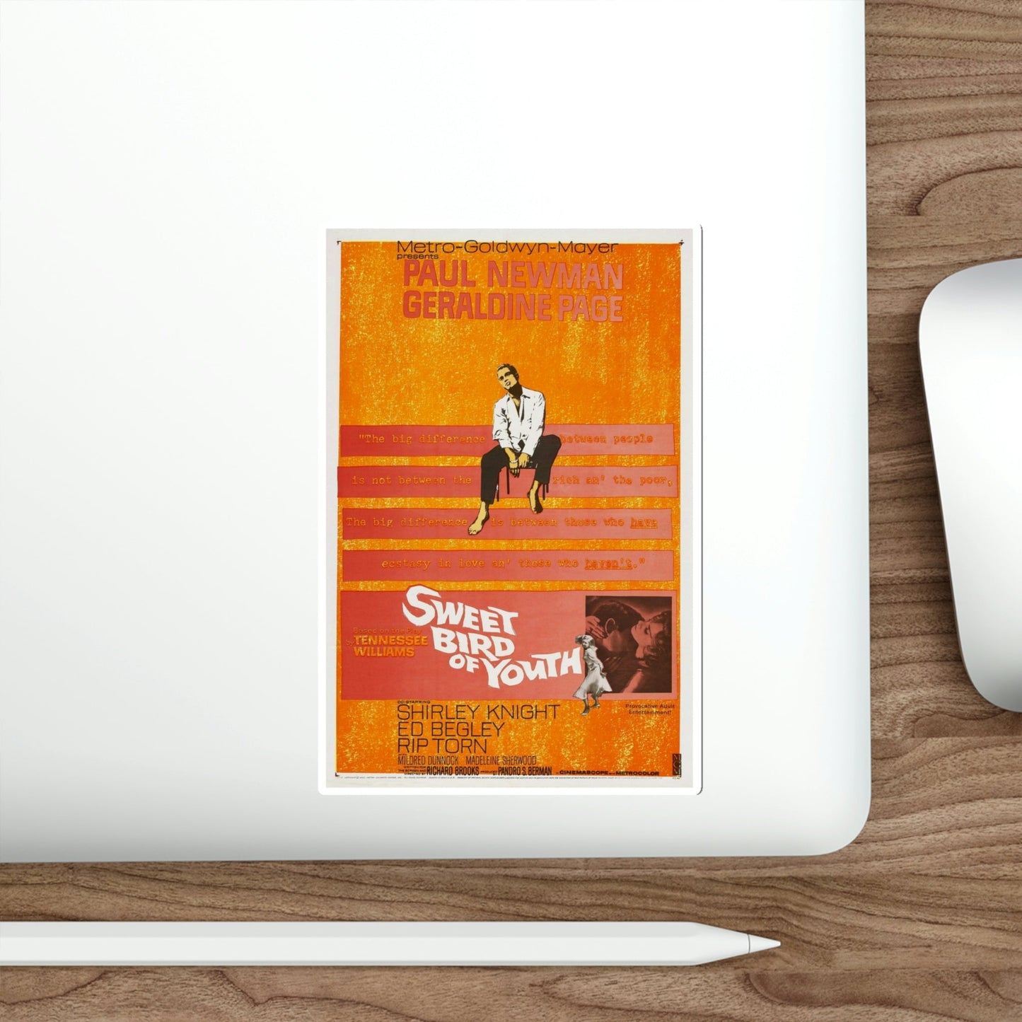 Sweet Bird of Youth 1962 Movie Poster STICKER Vinyl Die-Cut Decal-The Sticker Space