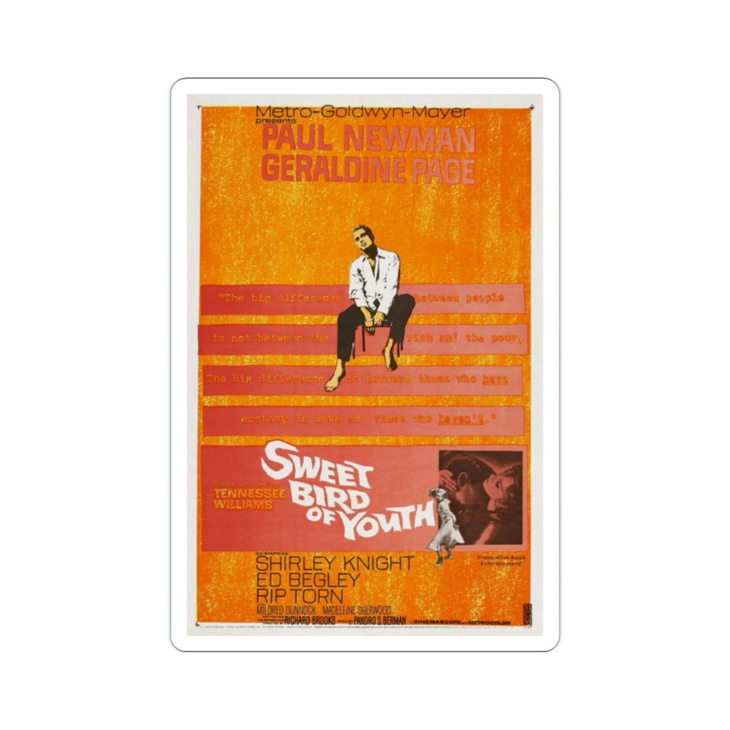 Sweet Bird of Youth 1962 Movie Poster STICKER Vinyl Die-Cut Decal-2 Inch-The Sticker Space