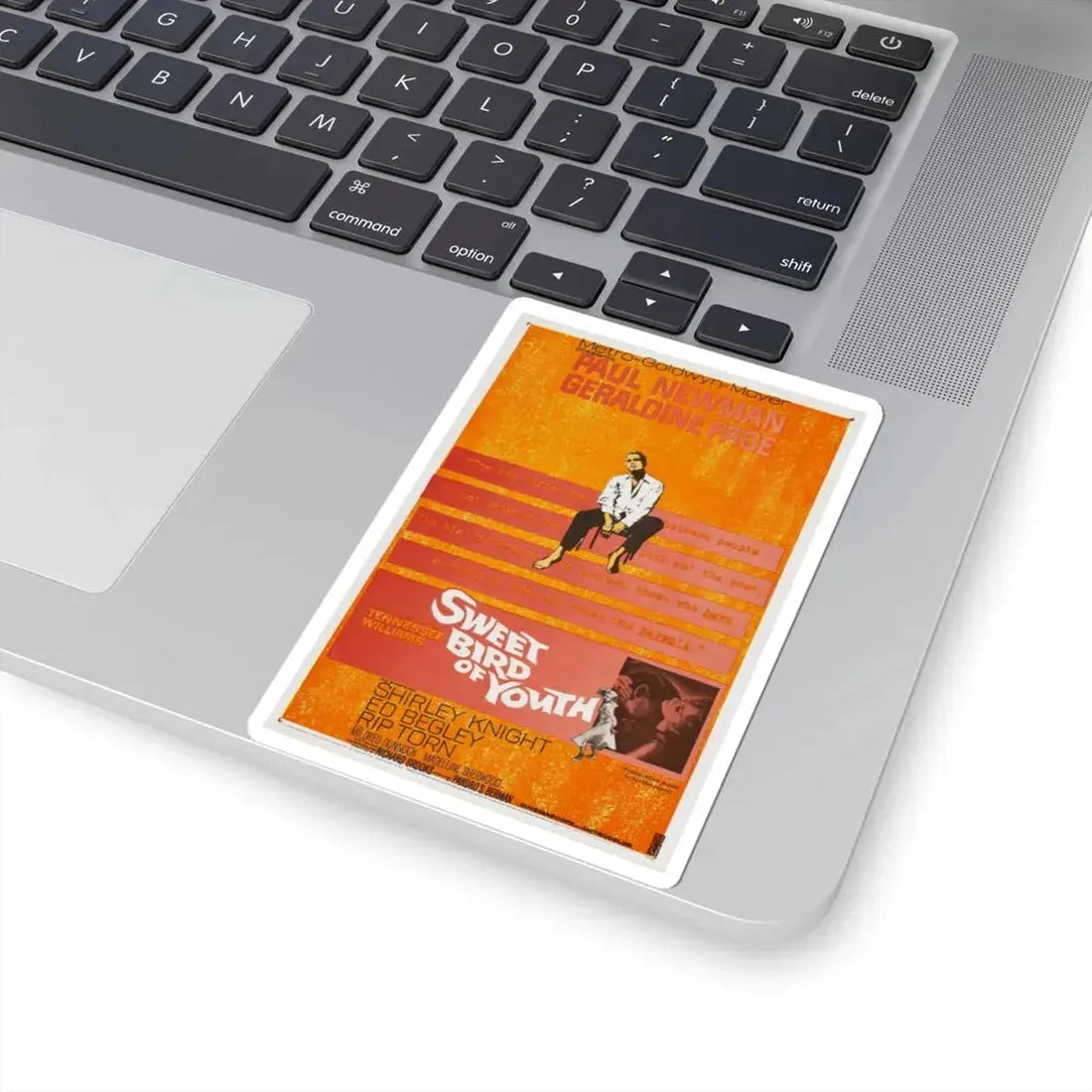 Sweet Bird of Youth 1962 Movie Poster - STICKER Vinyl Kiss-Cut Decal - The Sticker Space