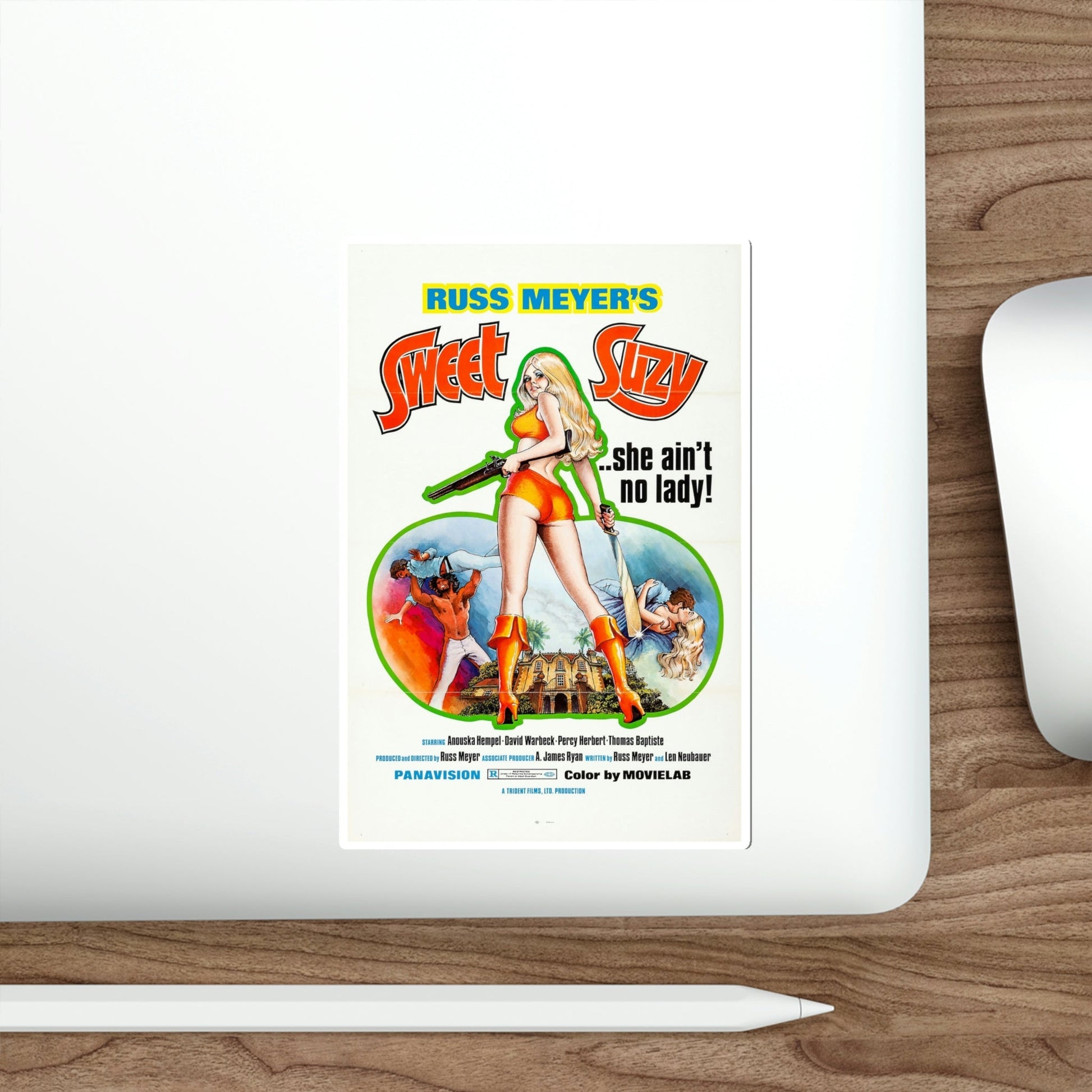 Sweet Suzy 1973 Movie Poster STICKER Vinyl Die-Cut Decal-The Sticker Space