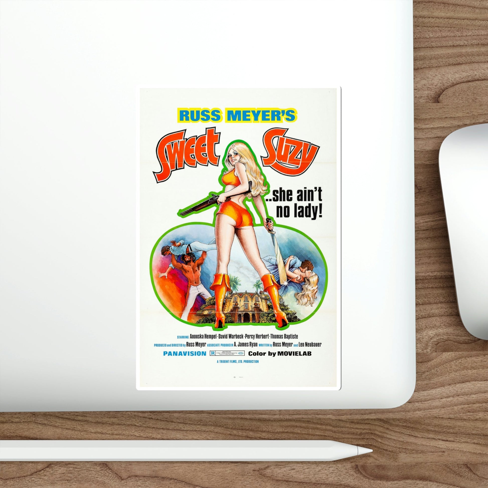 Sweet Suzy 1973 Movie Poster STICKER Vinyl Die-Cut Decal-The Sticker Space