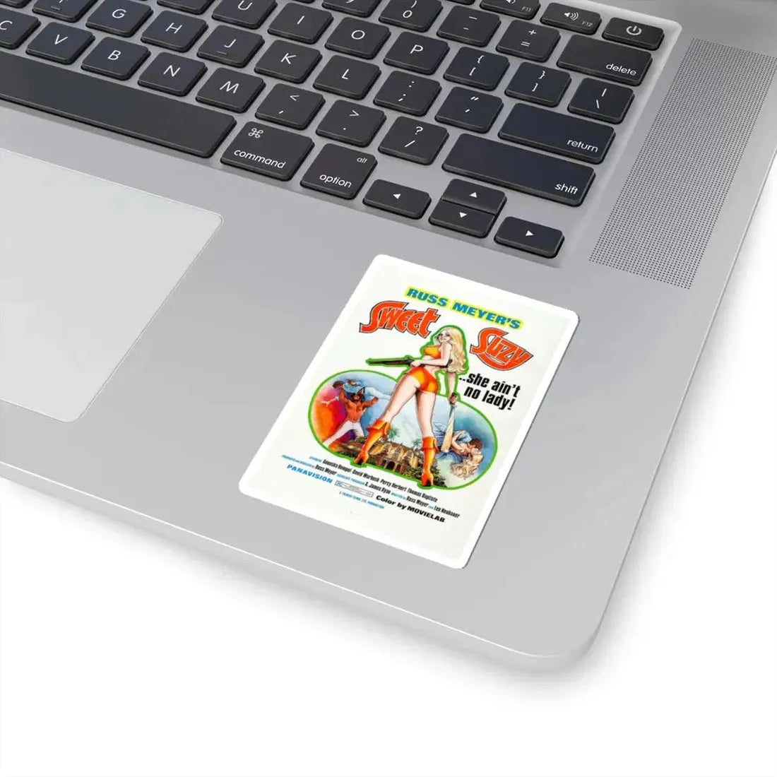 Sweet Suzy 1973 Movie Poster - STICKER Vinyl Kiss-Cut Decal - The Sticker Space