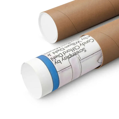 SWINGING COEDS 1972 - Paper Movie Poster - The Sticker Space