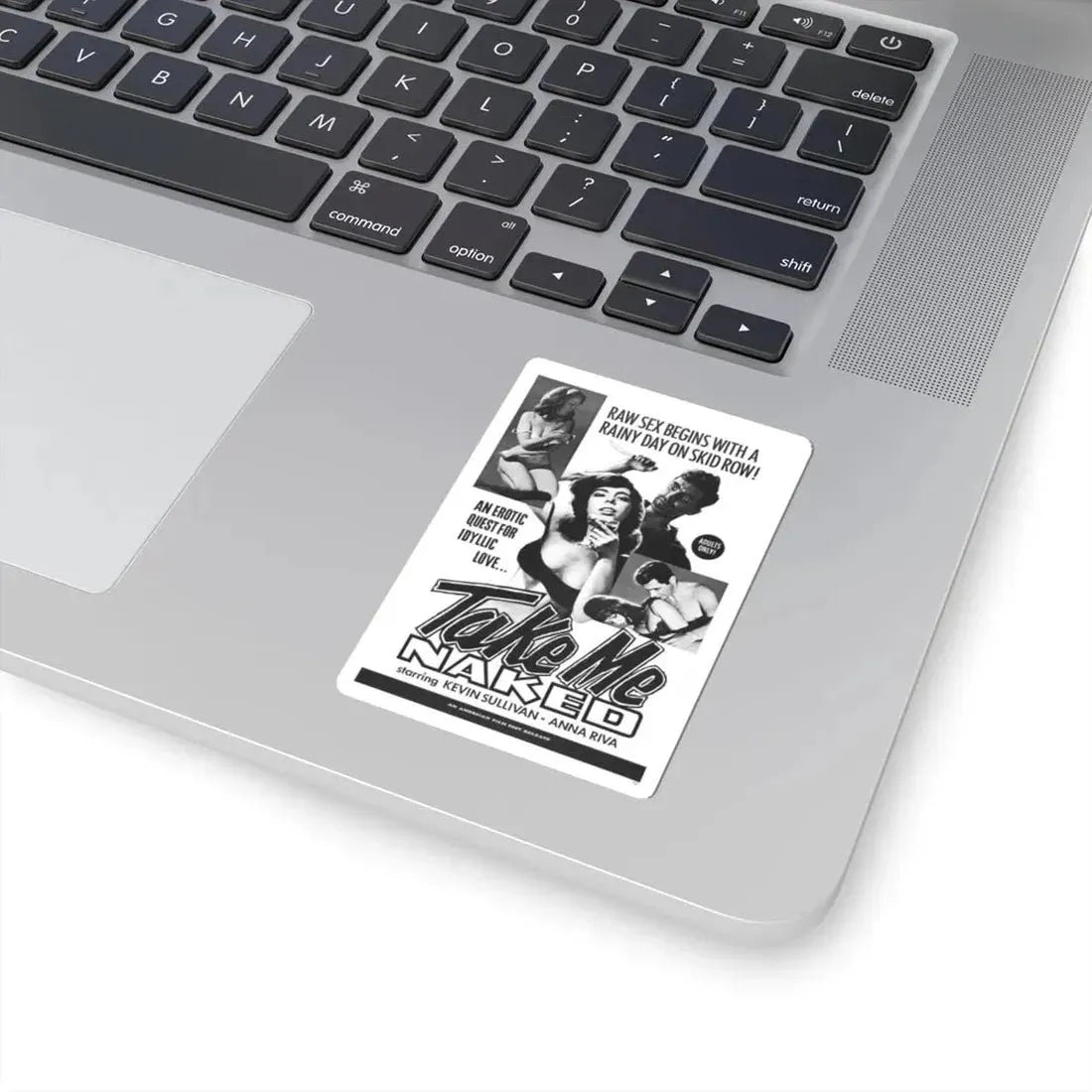 TAKE ME NAKED 1966 Movie Poster - STICKER Vinyl Kiss-Cut Decal - The Sticker Space